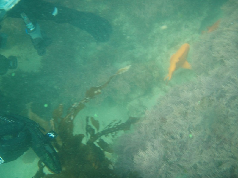 sm_p6222081.jpg