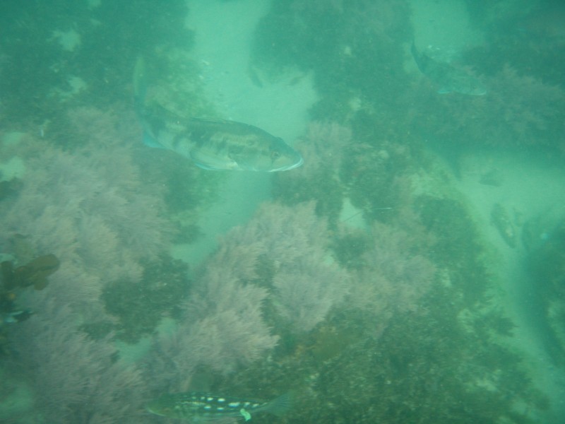 sm_p6222086.jpg
