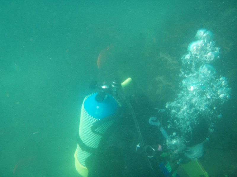 sm_p6222087.jpg