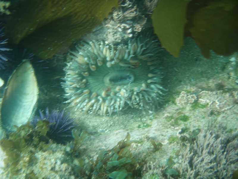 sm_p6222098.jpg