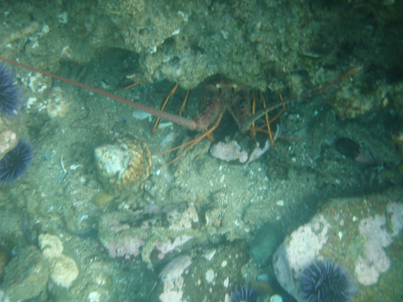 sm_p6222101.jpg