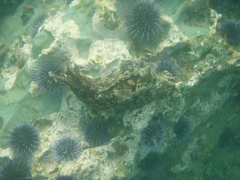 sm_p6222104.jpg