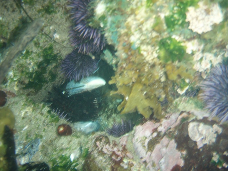 sm_p6222106.jpg