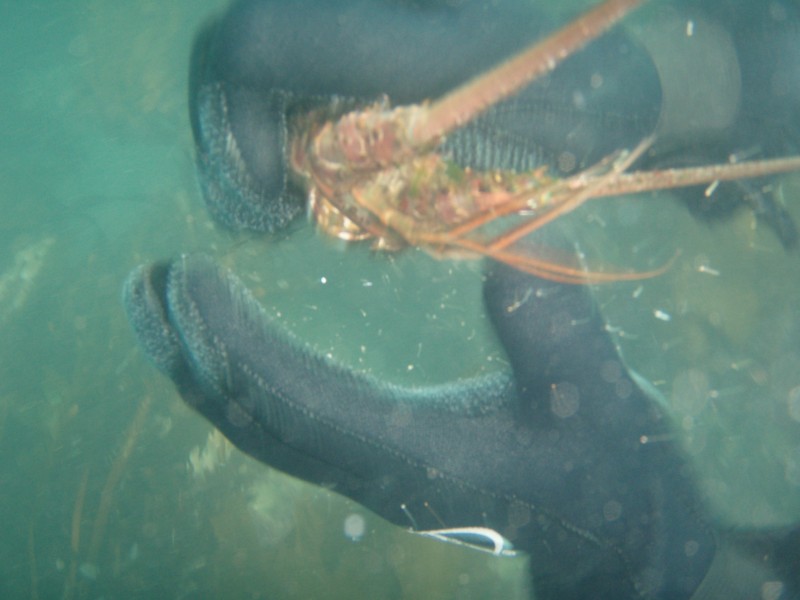 sm_p6222107.jpg