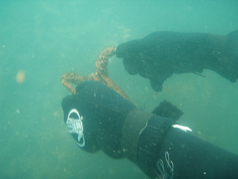 sm_p6222109.jpg