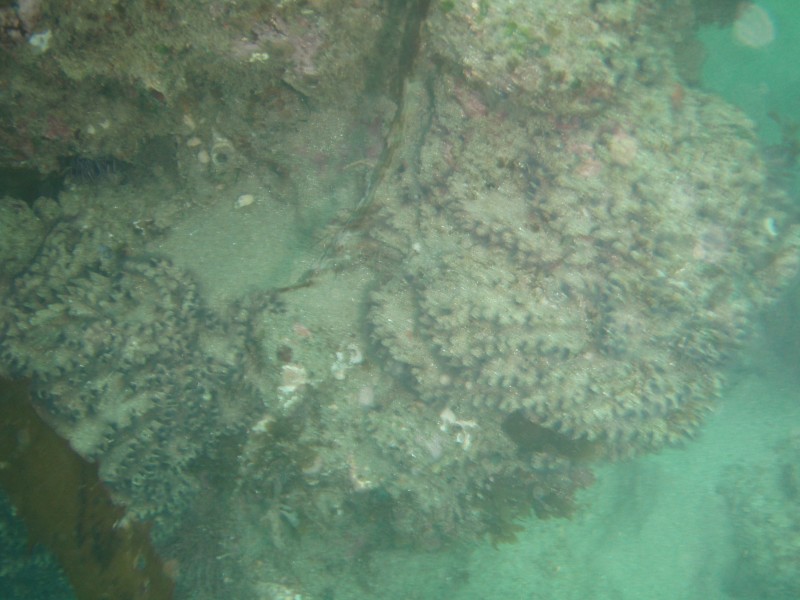 sm_p6222116.jpg