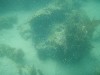 sm_p6222037.jpg