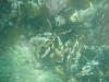 sm_p6222038.jpg