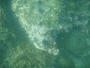 sm_p6222040.jpg