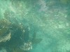 sm_p6222042.jpg