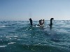 sm_p6222055.jpg