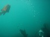 sm_p6222058.jpg