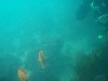 sm_p6222059.jpg