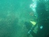 sm_p6222060.jpg