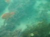 sm_p6222061.jpg