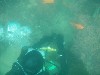 sm_p6222077.jpg