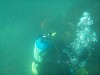 sm_p6222087.jpg
