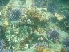 sm_p6222090.jpg