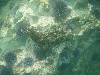 sm_p6222104.jpg