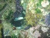 sm_p6222106.jpg