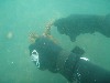 sm_p6222109.jpg