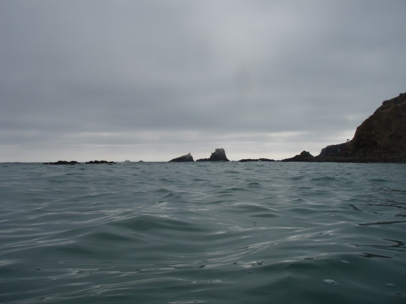 sm_p7152124.jpg