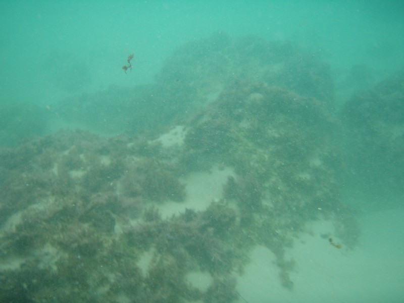 sm_p7152126.jpg
