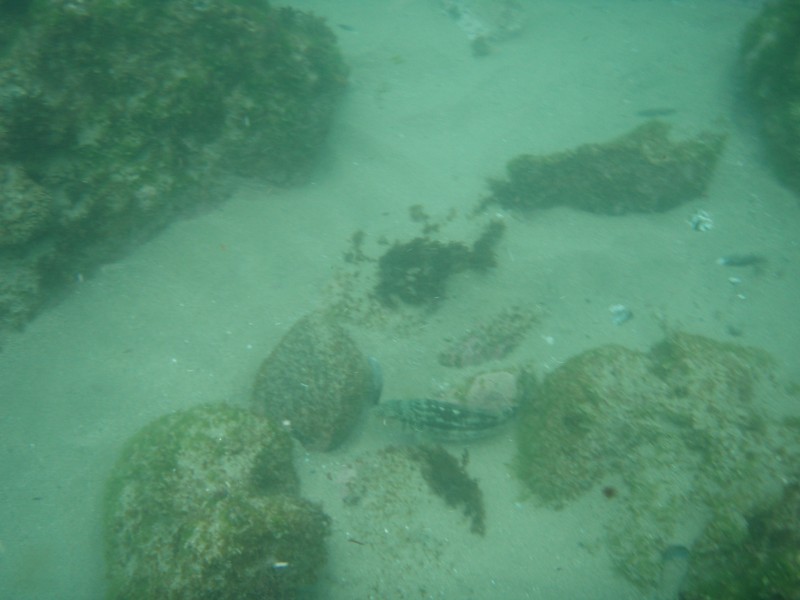 sm_p7152127.jpg