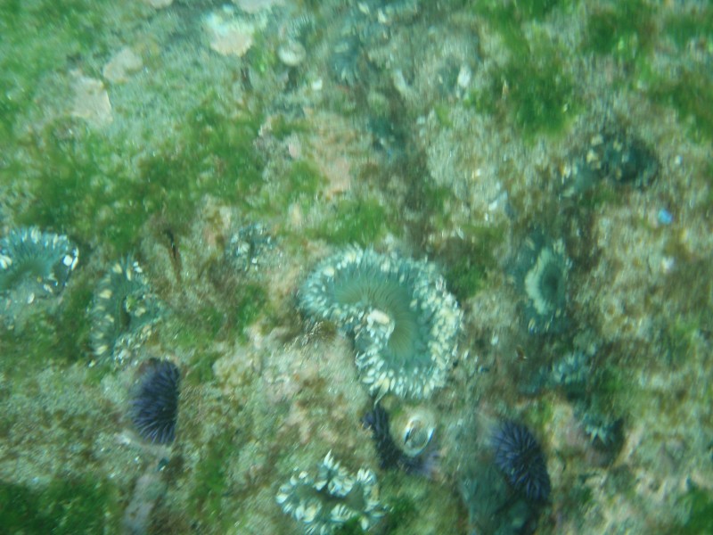 sm_p7152132.jpg