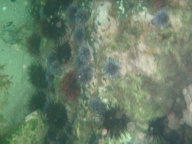 sm_p7152134.jpg