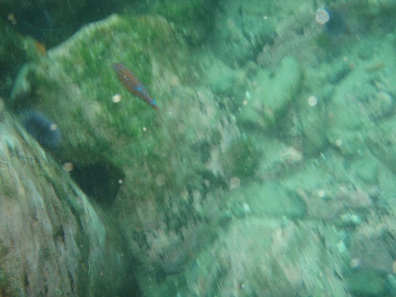 sm_p7152140.jpg