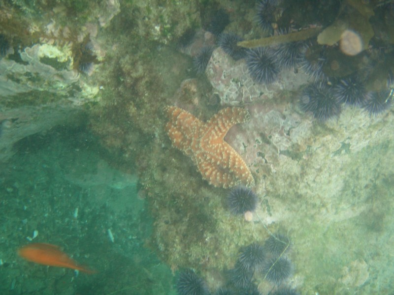 sm_p7152142.jpg