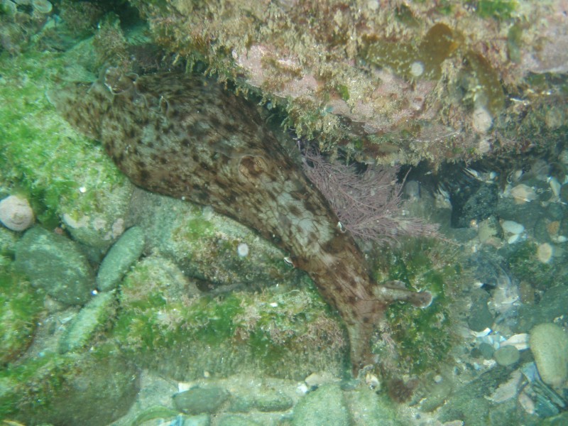 sm_p7152143.jpg