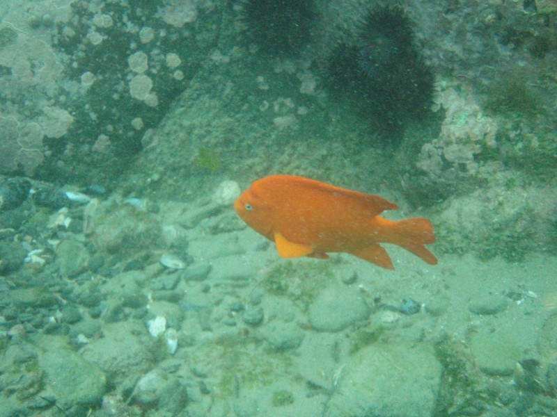 sm_p7152148.jpg