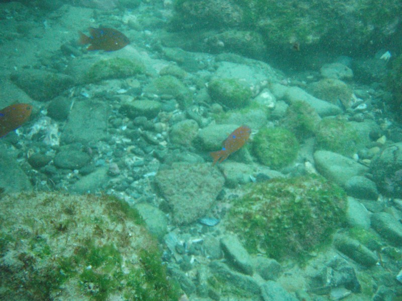 sm_p7152149.jpg