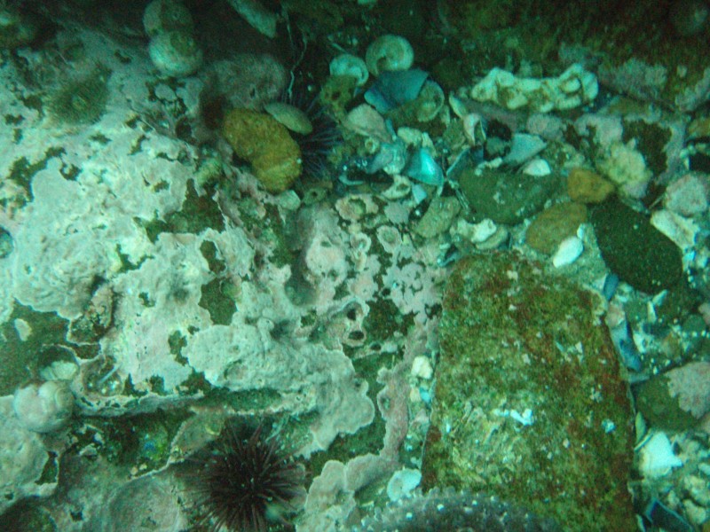 sm_p7152150.jpg