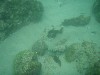 sm_p7152127.jpg