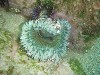 sm_p7152131.jpg