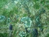 sm_p7152132.jpg