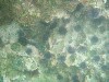 sm_p7152133.jpg