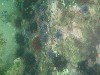 sm_p7152134.jpg