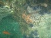 sm_p7152142.jpg