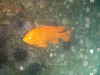 sm_p7152145.jpg
