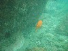 sm_p7152147.jpg