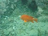 sm_p7152148.jpg