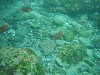 sm_p7152149.jpg