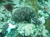 sm_p7152151.jpg