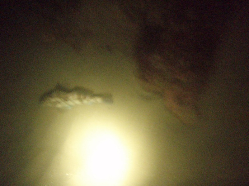 sm_p9132326.jpg