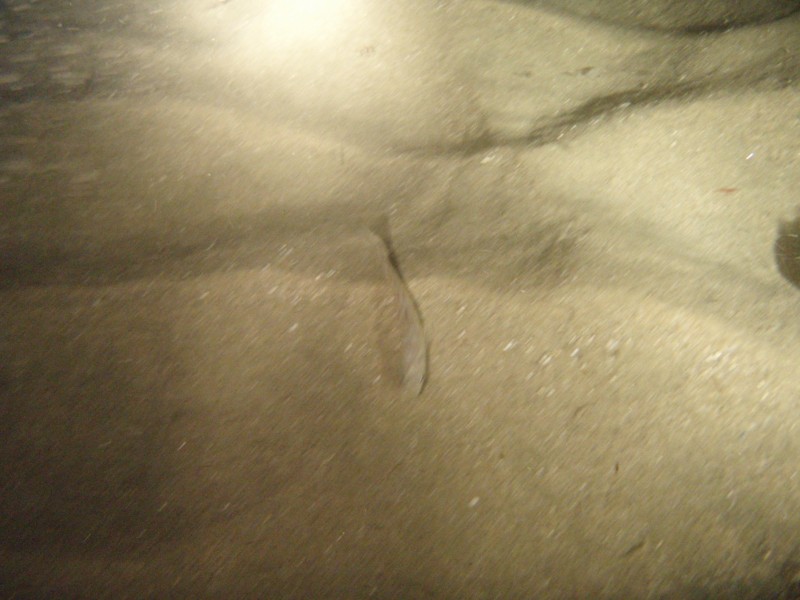 sm_p9132330.jpg