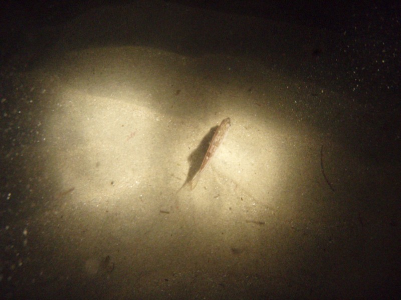 sm_p9132334.jpg